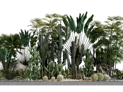 现代花坛多肉植物景观园艺小品