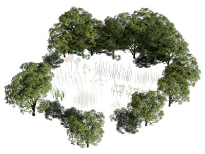 现代茂盛的树林