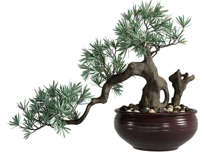 新中式盆景盆栽