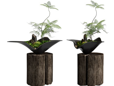 新中式盆景盆栽