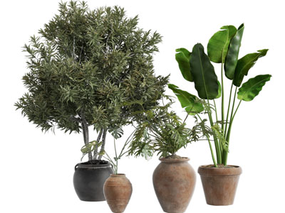 现代陶艺花盆盆栽植物