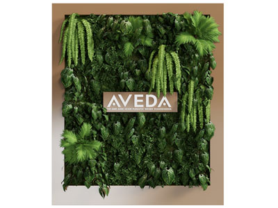 现代植物墙、绿植墙