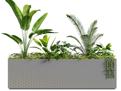 现代花坛花草植物盆栽植物