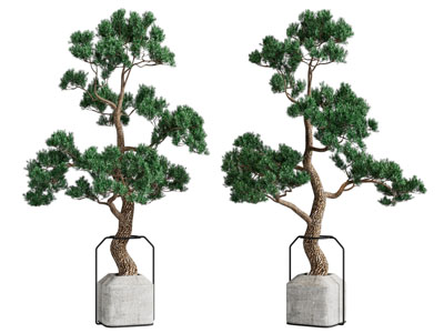 新中式松树盆景盆栽