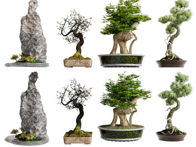 新中式假山、松树盆景盆栽