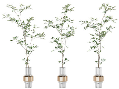 现代花瓶树枝摆件