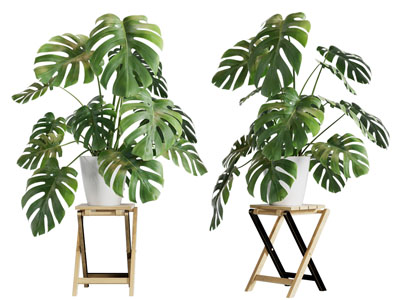 北欧实木花架盆栽植物