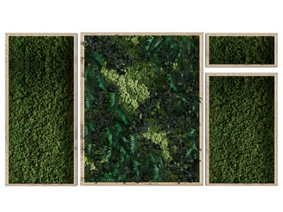 现代植物墙、带边框植物长方形挂画3d模型 现代植物墙、带边框植物长方形挂画