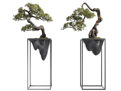 新中式花架松树盆景盆栽