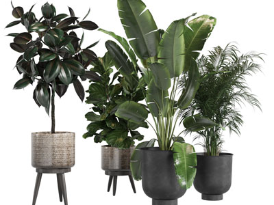 现代磨砂花盆盆栽植物