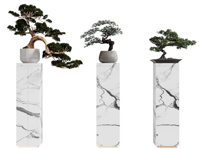 新中式松树盆景盆栽