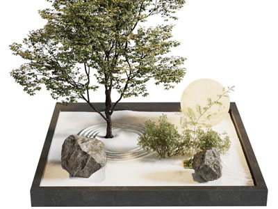 现代树木、石头景观园艺小品