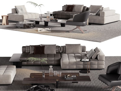 现代多人沙发、休闲椅子和茶几组合