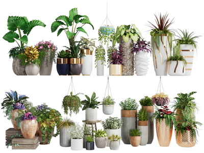 现代轻奢花盆盆栽植物