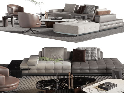现代多人沙发、休闲椅子和茶几组合