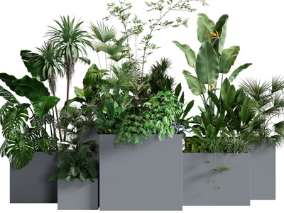 现代户外花箱盆栽植物