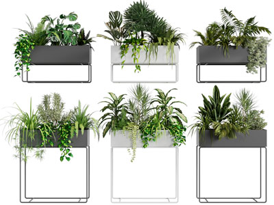 现代带支架花箱盆栽植物