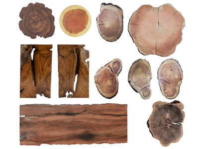 现代原木木桩木板、茶桌台面