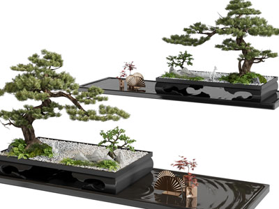 新中式松树盆景盆栽