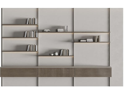 现代固定墙面的书柜