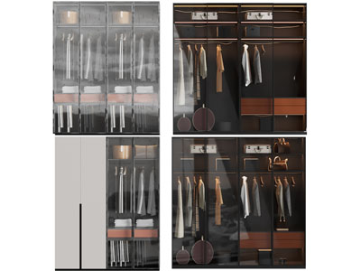 现代玻璃柜门衣柜3d模型 现代玻璃柜门衣柜