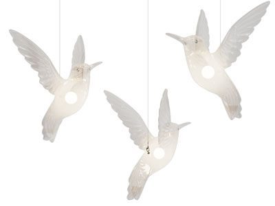 现代蜂鸟造的垂线吊灯