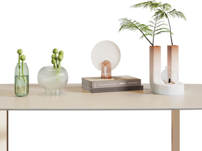 现代花瓶花卉、书籍摆件组合