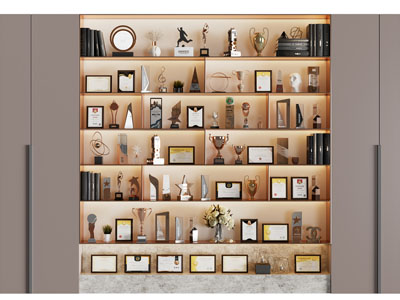 现代奖状奖杯收纳装饰柜