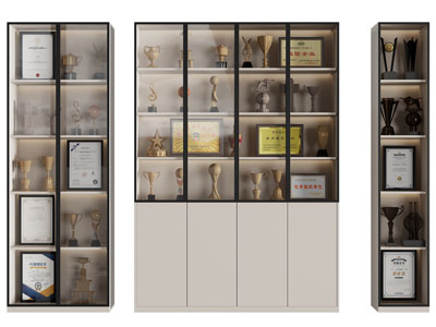 现代奖状奖杯收纳装饰柜