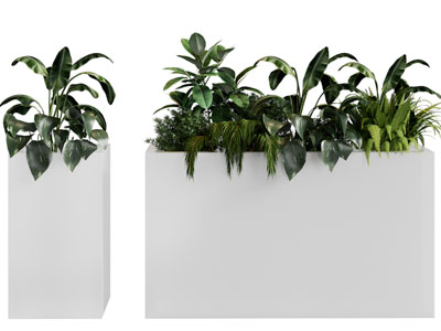 现代户外花箱盆栽植物