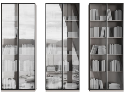 现代玻璃柜门的书柜