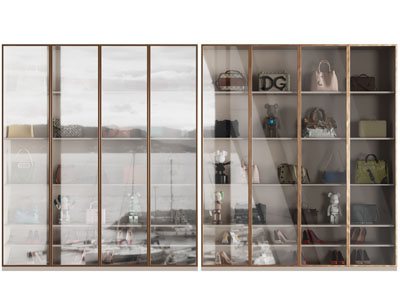 现代轻奢玻璃柜门的装饰柜