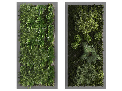 现代长方形植物装饰挂画、植物墙3d模型 现代长方形植物装饰挂画、植物墙