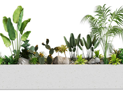 现代花坛花草石头植物景观园艺小品