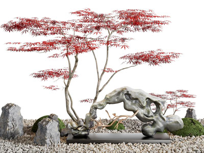 新中式假山、枫树景观园艺小品