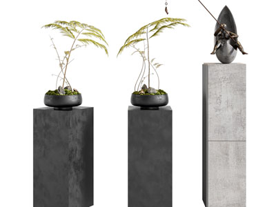 新中式盆景盆栽