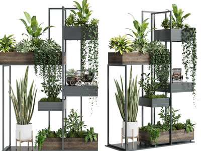 现代花架花盆盆栽植物