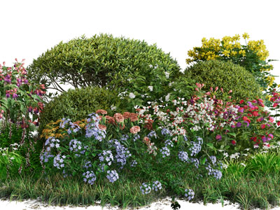 现代花草灌木植物景观园艺小品