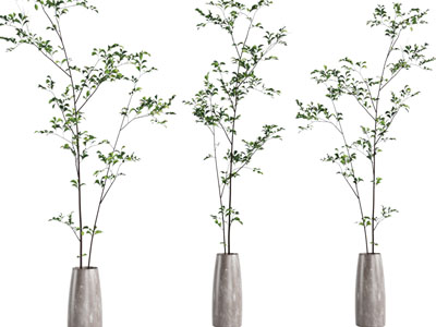 现代陶瓷花瓶花卉