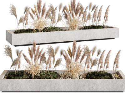 现代花草芦苇景观园艺小品