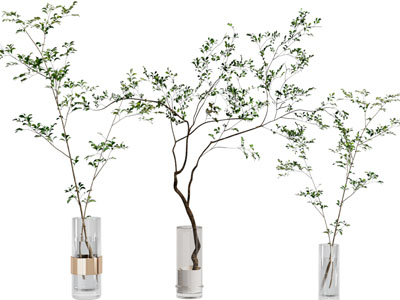现代玻璃花瓶树枝花卉