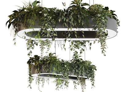 现代吊篮绿植吊灯