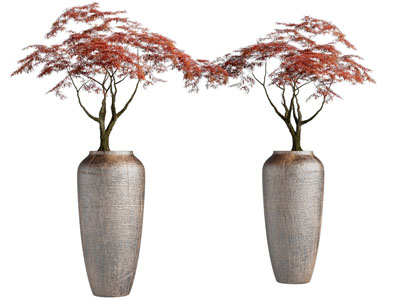 新中式陶瓷花瓶红枫盆景盆栽植物