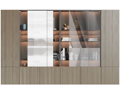 现代玻璃柜门的书柜