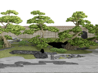 新中式庭院松树、石径景观园艺小品