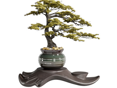 新中式松树盆景盆栽植物摆件