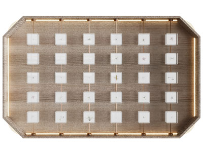 侘寂风植物标本背景墙 墙饰