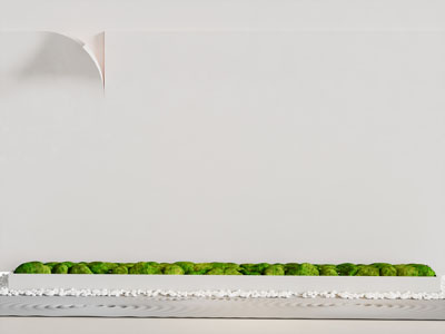 侘寂风景墙 花坛 花草室内景观园艺小品