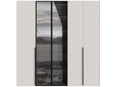 中间装饰玻璃柜门的衣柜3d模型 中间装饰玻璃柜门的衣柜