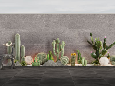 现代多肉仙人掌景观园艺小品